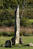  A009404croofm